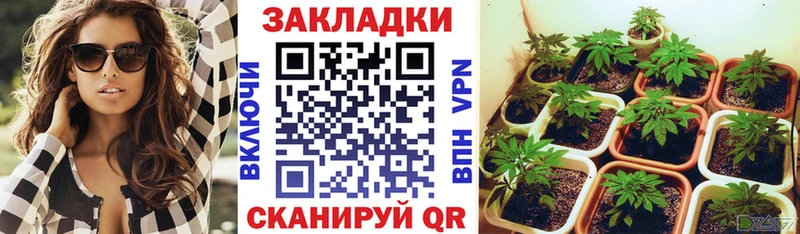 Виды наркотиков купить Чебоксары Alpha PVP  Бошки Шишки  КЕТАМИН  Гашиш  Меф  Псилоцибиновые грибы 