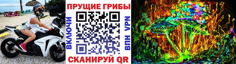 Псилоцибиновые грибы MAGIC MUSHROOMS  сколько стоит  Чебоксары 